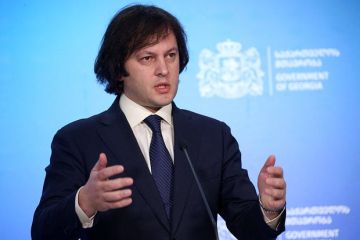 Кобахидзе: В Грузии поддерживают усилия США по стремлению к миру на Украине