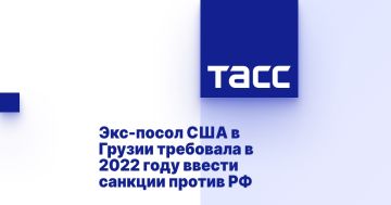 Экс-посол США в Грузии требовала в 2022 году ввести санкции против РФ