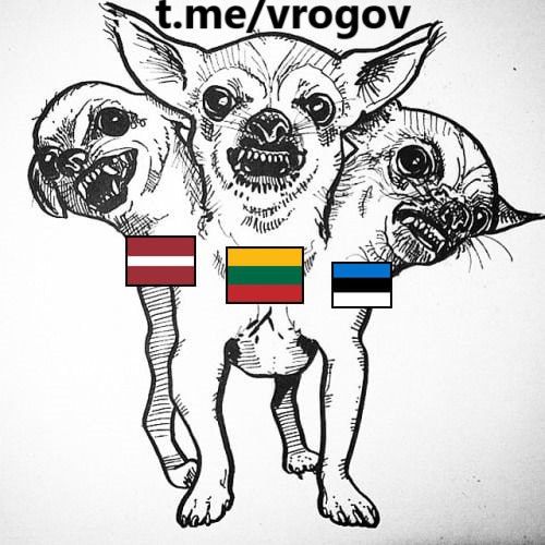 Владимир Рогов: Об односторонней дружбе с марионетками Глобальной партии войны