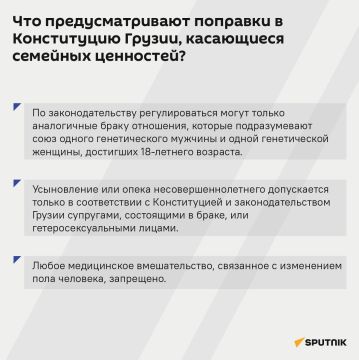 Если Совет Европы призывает парламент Грузии отменить закон, запрещающий пропаганду ЛГБТ*, то он признает легитимность законодательного органа