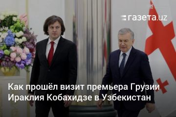 Зачем грузинский премьер ездил в Среднюю Азию?