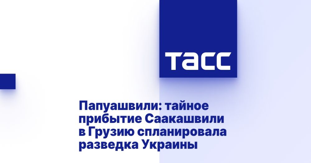 Папуашвили: тайное прибытие Саакашвили в Грузию спланировала разведка Украины