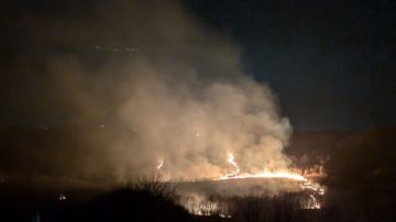 Пожар в трех деревнях района Цаленджиха на северо-западе Грузии