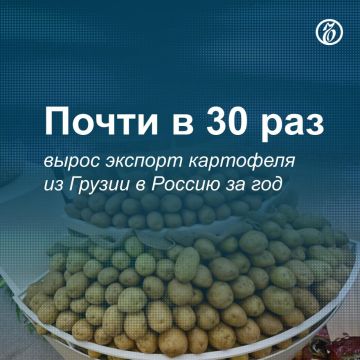 С начала января по начало марта 2025 года Грузия поставила на рынки России 27,5 тыс