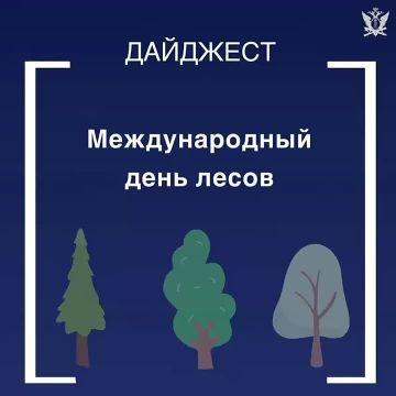 21 марта - Международный день лесов