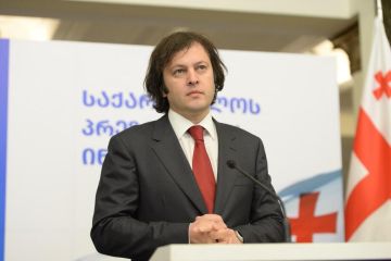 Задача Грузии – максимально вернуть наших эмигрантов на родину – премьер
