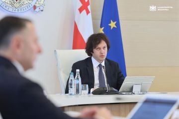 Подъем грузинского спорта – премьер поздравил дзюдоистов с победой на чемпионате Европы