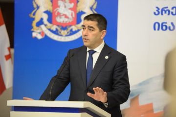 Близки к фашистской риторике - Папуашвили о заявлениях депутата Европарламента по Грузии