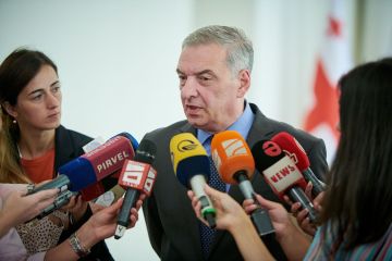 Ничего общего с европейскими ценностями – Вольский о резолюции ЕНП по Грузии