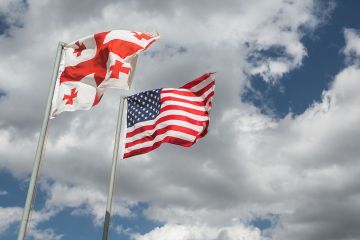 США заинтересованы в торговых связях с Грузией – вице-премьер