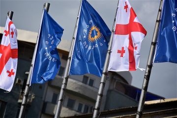 Каладзе ответил на вопрос, кто станет председателем "Грузинской мечты"
