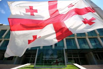 Фиктивные документы и другая опасная деятельность иностранцев в Грузии – отчет СГБ