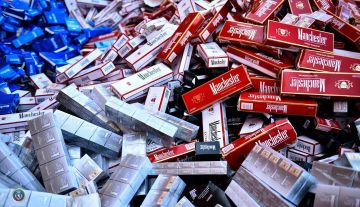 Борьба с контрабандой сигарет в Грузии – сколько нарушений выявлено в апреле