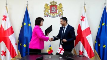Грузия будет сотрудничать с Молдовой в сфере социального и пенсионного обеспечения