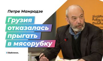 Мамрадзе: Грузия не пошла на поводу у Киева и американцев