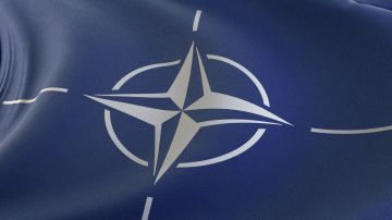Почему НАТО не празднует победу над нацистской Германией
