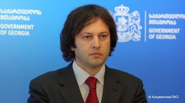 Новым председателем правящей партии Грузии избран премьер-министр Кобахидзе