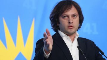 Ираклий Кобахидзе избран председателем правящей партии «Грузинская мечта»