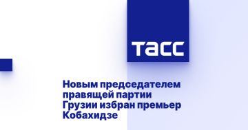 Новым председателем правящей партии Грузии избран премьер Кобахидзе