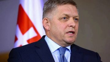 Летит окольным путем: несмотря на сложности логистики, Фицо едет в Москву на День Победы