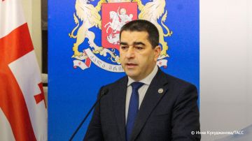 Администрация Байдена пыталась сменить власть в Грузии, сообщил Шалва Папуашвили