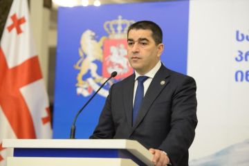 Безопасность за чужой счет – спикер парламента Грузии о политике Балтийских стран
