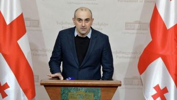 Партия "Гирчи": Зурабишвили - это главная ошибка грузинской оппозиции