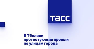 В Тбилиси протестующие прошли по улицам города