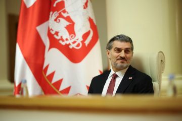 Президент Грузии поздравил ветеранов с Днем Победы над фашизмом