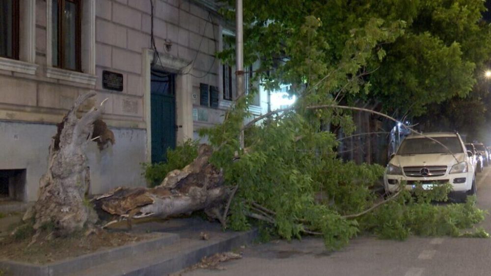 Сильный ветер в Батуми создал проблемы жителям города