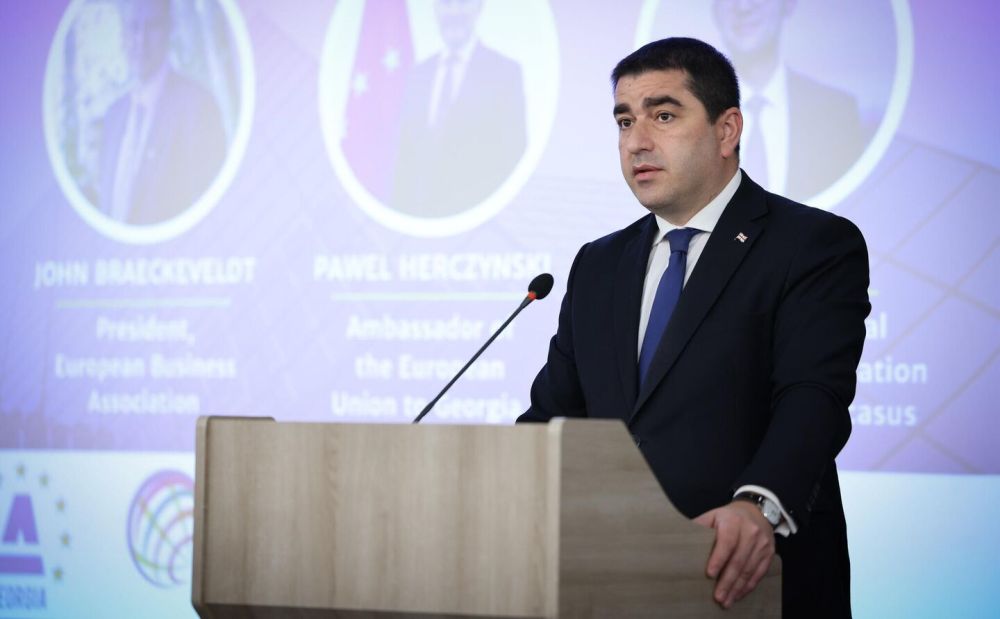 Нынешняя власть внесла наибольший вклад в евроинтеграцию Грузии – Папуашвили