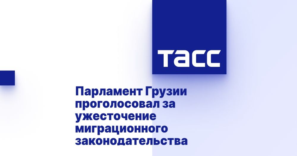 Парламент Грузии проголосовал за ужесточение миграционного законодательства