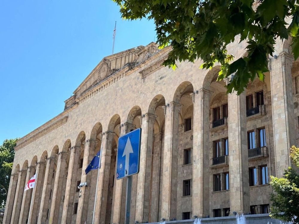 Парламент Грузии принял резолюцию в ответ на MEGOBARI Act