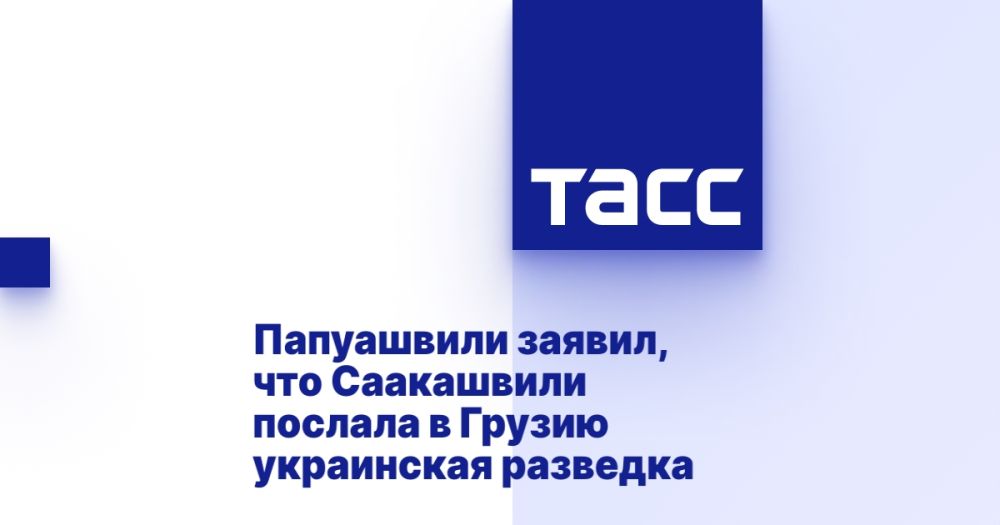 Папуашвили заявил, что Саакашвили послала в Грузию украинская разведка
