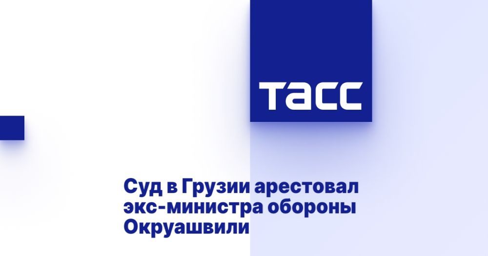 Суд в Грузии арестовал экс-министра обороны Окруашвили